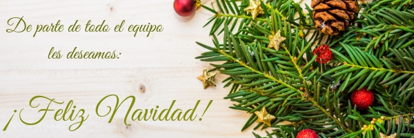 Firma Navidad